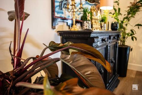 BSTAR Luxury bed & breakfast adults only photo 39