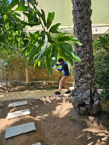 a man taking a picture of a palm tree at Hatta Orchard in Hatta