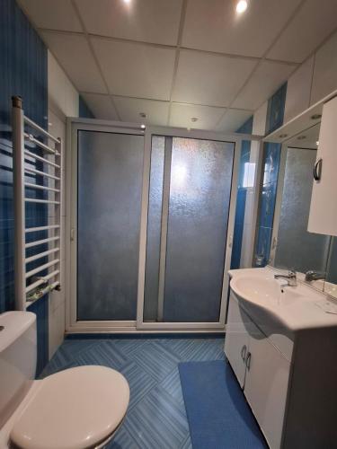 a bathroom with a toilet and a sink and a shower at LA Vie in Opanets