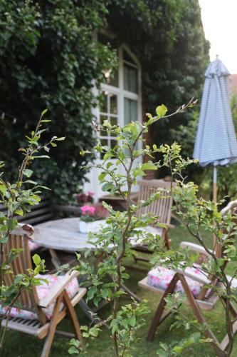 Taman di luar Altes Schulhaus in der Lüneburger Heide