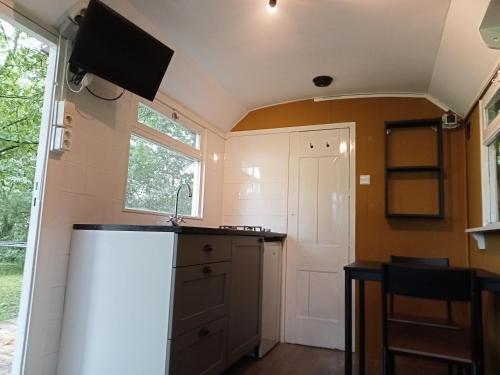 een keuken met een spoelbak en een koelkast bij Verblijf Trijntje in Nieuwaal
