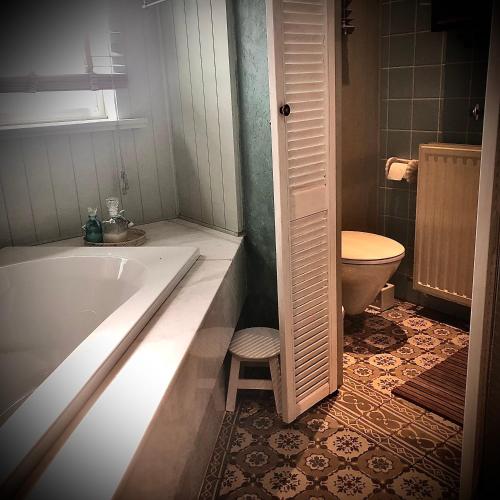 a bathroom with a bath tub and a toilet at Casa Lucinda in Ghent
