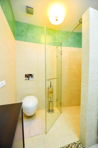 a bathroom with a glass shower with a toilet at Luxury Apartment in Braşov