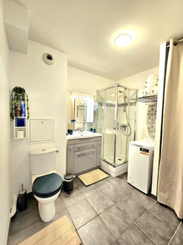 une salle de bain avec une douche, des toilettes et un lavabo dans l'établissement Beau studio cosy entre Paris et Disneyland, à Villiers-sur-Marne