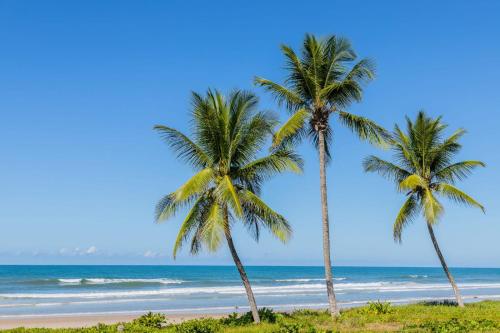 two palm trees on the beach in front of the ocean at Apê Vumbora Pra Praia, todo climatizado, a 200 m da praia in Ilhéus