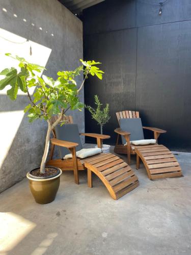three wooden chairs and a potted tree in a room at De Koningsspil - Daar bij die Kempermolen in Breedenbroek