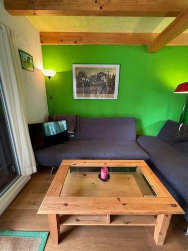 a green living room with a couch and a coffee table at Das kleine Haus Feldberg für Paare in Feldberg