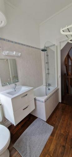 une salle de bain avec un lavabo, une baignoire et des toilettes dans l'établissement Maison de ville Auxerroise, à Auxerre