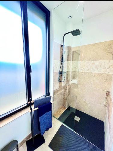 une salle de bain avec une douche avec une porte vitrée dans l'établissement La Maison du faubourg & Spa, à Vitry-le-François