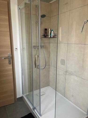 une douche avec une porte vitrée dans une salle de bain dans l'établissement Le petit nouveau avec Jardin, à Pont-à-Mousson
