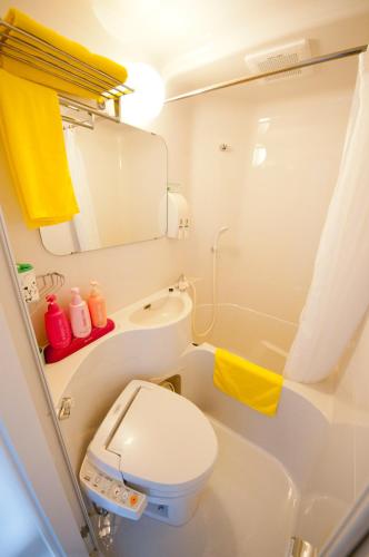 a small bathroom with a toilet and a sink at Super Hotel Arai Niigata in Myoko