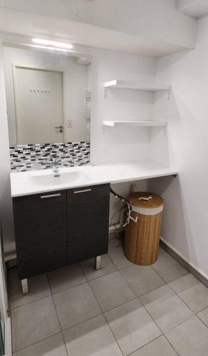 une salle de bain avec un lavabo et un miroir dans l'établissement Stella Plage T3 Proche Mer, Dunes Et Commerces, à Stella-Plage