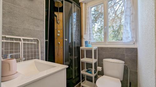 une salle de bain avec toilettes, lavabo et douche dans l'établissement L'appartement de la gare, à Besançon