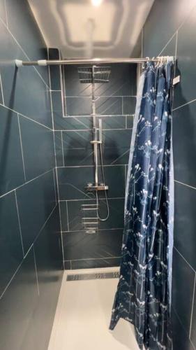 une salle de bain avec une douche avec un rideau de douche dans l'établissement T2 Elégant, Proche de tout, à Choisy-le-Roi
