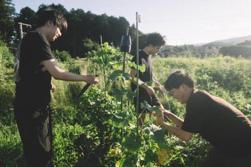 a group of people working in a garden at hinatabocco guesthouse Japanese warehouse in Miyaki