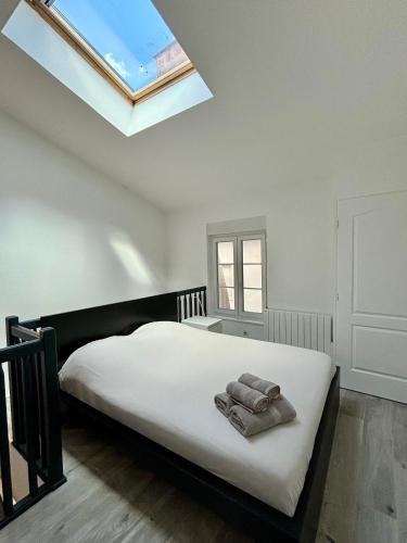 Un dormitorio con una gran cama blanca con tragaluz. en Charmant Duplex - Hyper Centre - 44m2 Proche Place Stanislas, en Nancy