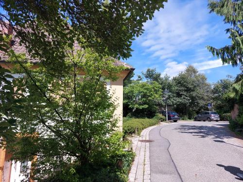 a street with a tree on the side of a building at Haus Am Stadtschloss FeWo 3 Zimmer Küche Bad in Lichtenfels