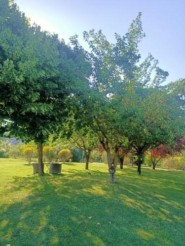 a group of trees in a field with grass at Relais Osteria Dell'Orcia in Bagno Vignoni