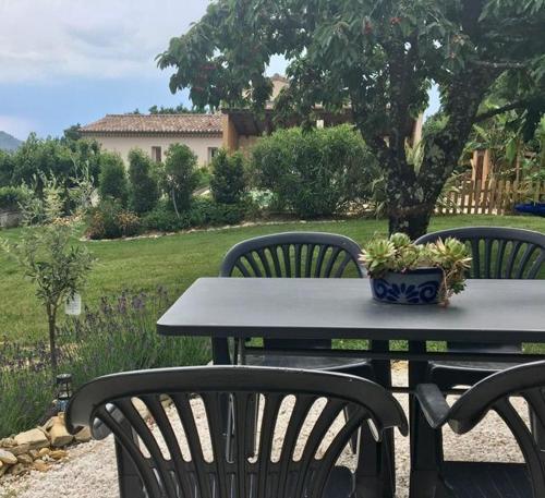 a picnic table with two chairs and a potted plant on it at Villa Câline chambres d'hôtes in Vesseaux