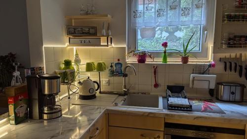 a kitchen with a sink and a counter top at TOM13 in Köngen