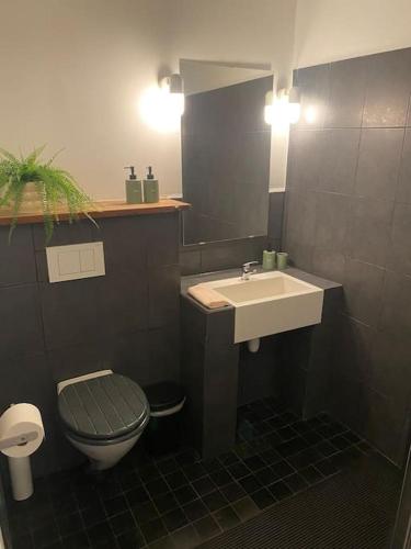 a bathroom with a sink and a toilet at Studio Richard in Antwerp