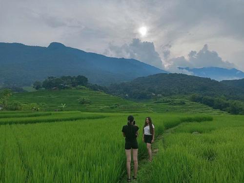 a man and a woman standing in a field of grass at Mai chau Horizon Homestay in Mai Chau