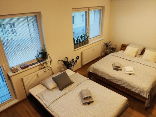 two beds in a room with two windows at Brand New Place in the City Centre in Žilina