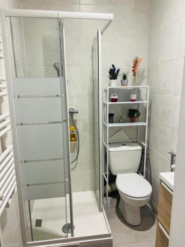 a bathroom with a shower and a toilet at Paris apertment in Paris