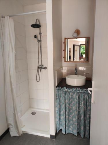 une salle de bain avec une douche, un lavabo et une baignoire dans l'établissement Maison Juliette, à Loupiac-de-Cadillac
