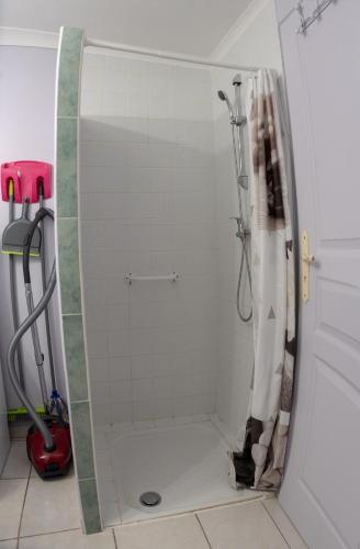 une douche avec une porte vitrée dans une salle de bain dans l'établissement Gîte Nino Colombiers, à Colombiers