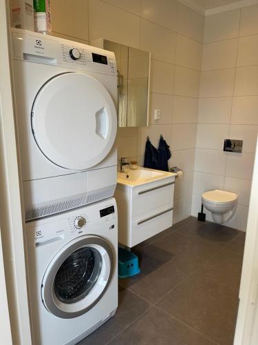 a bathroom with a washing machine and a sink at Gröna Huset in Torsby