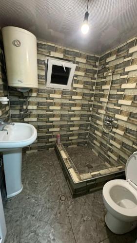 a bathroom with a shower and a toilet and a sink at Farielli Guesthouse in Mestia