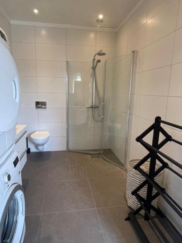 a bathroom with a shower and a toilet at Gröna Huset in Torsby