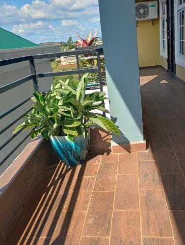a potted plant sitting on the edge of a balcony at The Blue Resort in Yaoundé