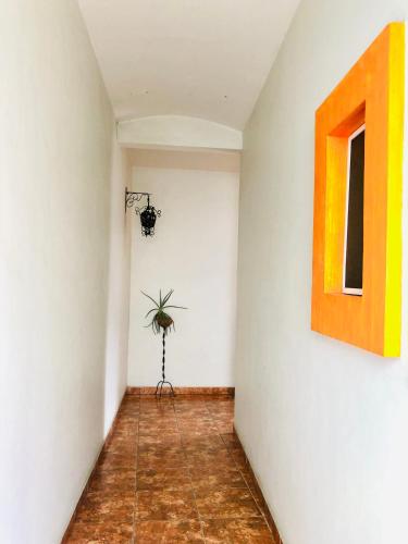 Fotografie z fotogalerie ubytování Casa Los Arquitos de Xochimilco v destinaci Oaxaca