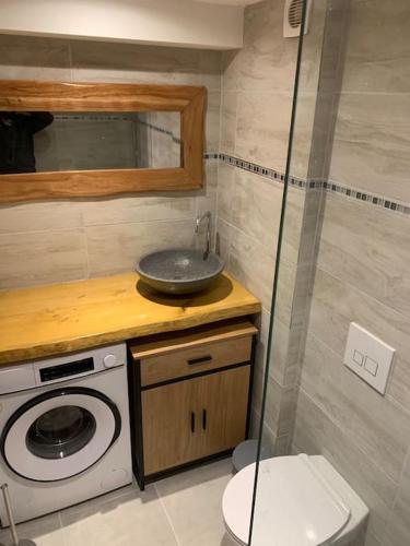 une salle de bain avec un lavabo et une machine à laver dans l'établissement Appartement centre du village, à Saint-Étienne-de-Tinée