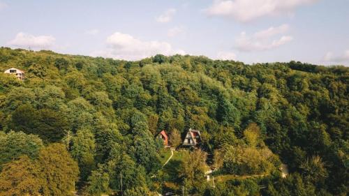 an aerial view of a forest with houses on a hill at Cottage Sataplia in Kutaisi