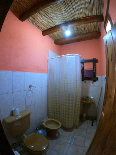 a bathroom with a shower and a toilet and a sink at Loma Tika - Tilcara Hostel in Tilcara