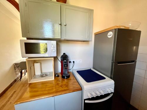 une petite cuisine avec un micro-ondes et un réfrigérateur dans l'établissement La Petite Ourse maison de village à Oust, à Oust