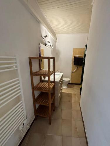 une petite salle de bain avec un lavabo et des toilettes dans l'établissement Gîte climatisé proche lac et Mer avec accès jacuzzi en sus, à Vauvert