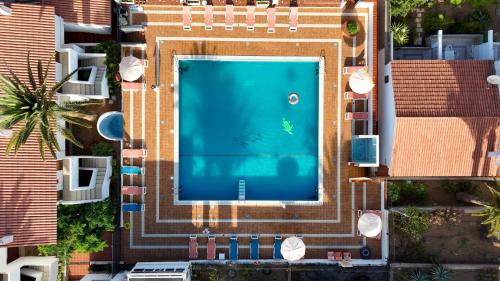 Studio Las Americas Monkey Beach