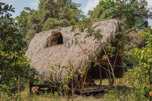 a hut with a straw roof in a field at La Ponderosa Reserve in Buritaca