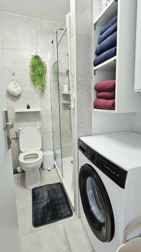 La salle de bains est pourvue de toilettes et d'un lave-linge. dans l'établissement Appartement bord de mer, piscine, à Villeneuve-Loubet