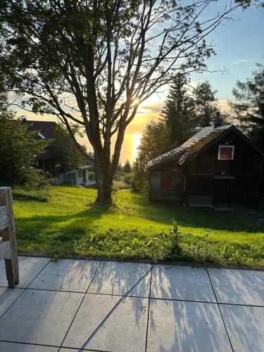 a bench sitting next to a tree and a house at Pfändertraum Luxus Ferienhaus in Lochau