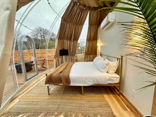 a bedroom with a bed in a glass house at Draco at the Retreat in Fredericksburg