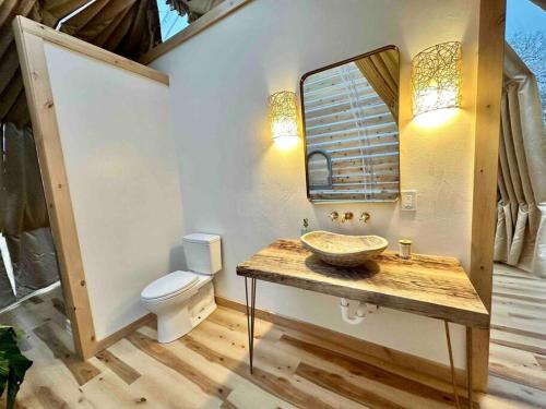 a bathroom with a sink and a toilet at Draco at the Retreat in Fredericksburg