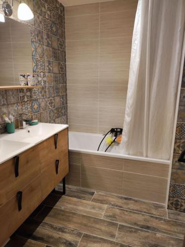 une salle de bain avec une baignoire, un lavabo et une douche dans l'établissement Jolie villa paisible, à Montferrier-sur-Lez