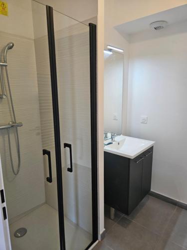 un baño con lavabo y ducha en TERRASSE La Varenne, en Saint-Maur-des-Fossés