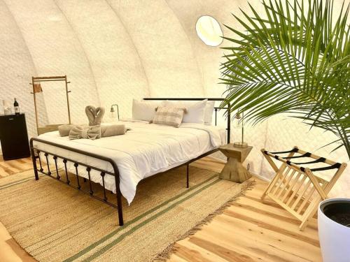 une chambre avec un lit et une grande plante dans l'établissement Lyra at the Retreat, à Fredericksburg