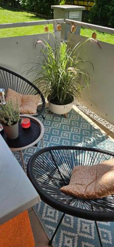 a patio with a table and chairs and plants at Family Apartament in Zamość